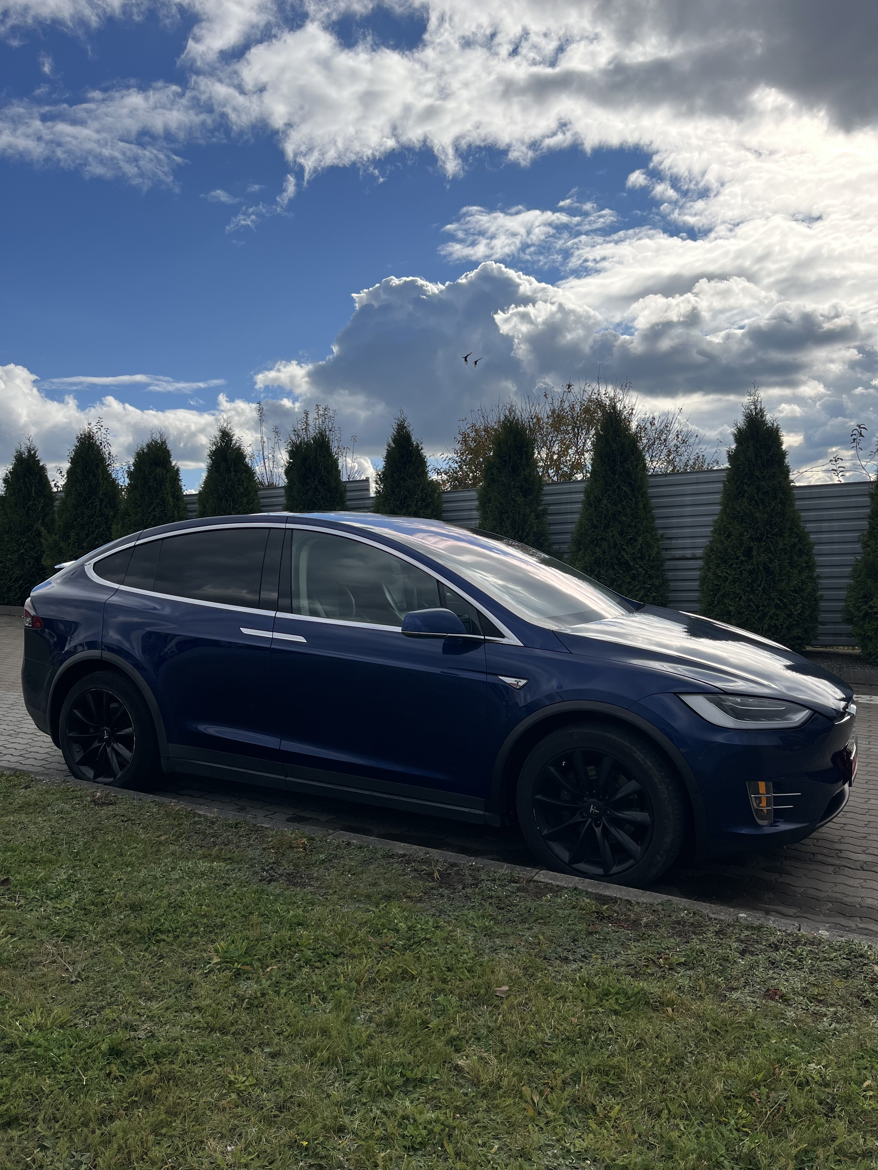 Tesla Model X 90D thumbnail 25